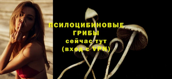 прущие крисы Бронницы