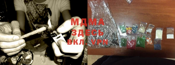 прущие грибы Беломорск